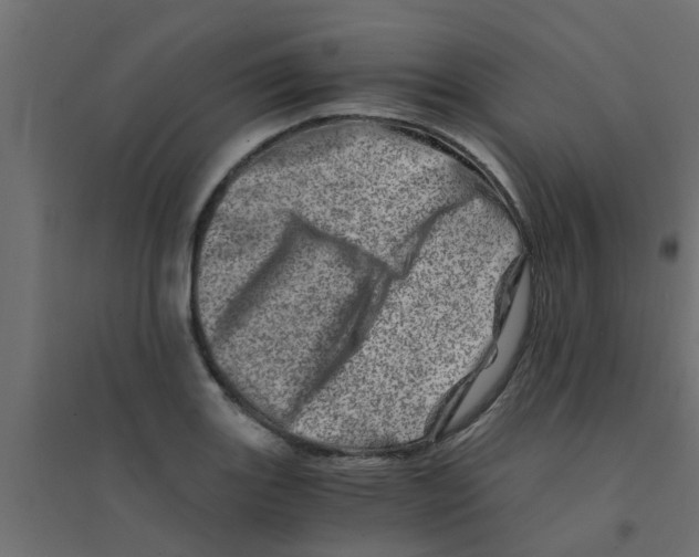X0000094201131200711241631