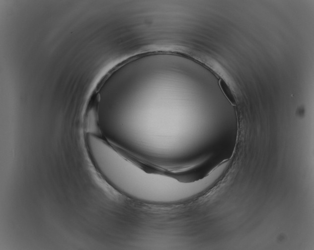 X0000094201132200711241631
