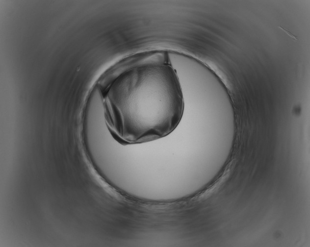 X0000094201134200711241631