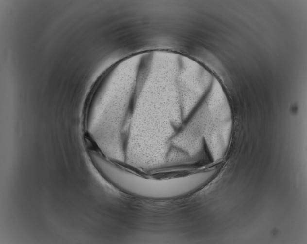 X0000094201135200711241631