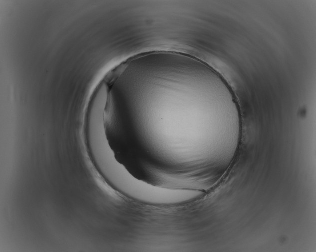 X0000094201136200711241631