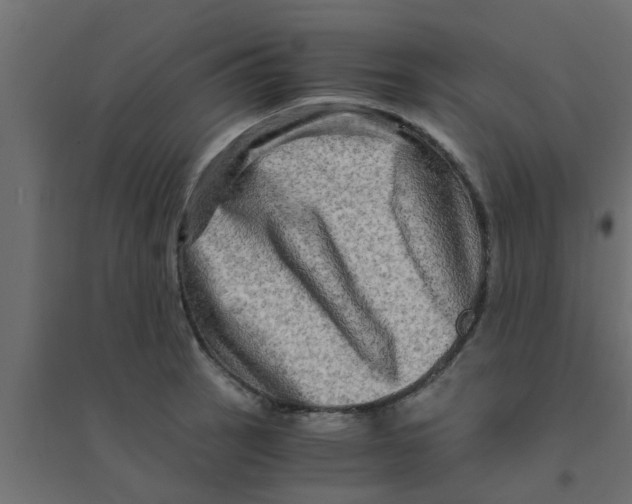 X0000094201137200711241631