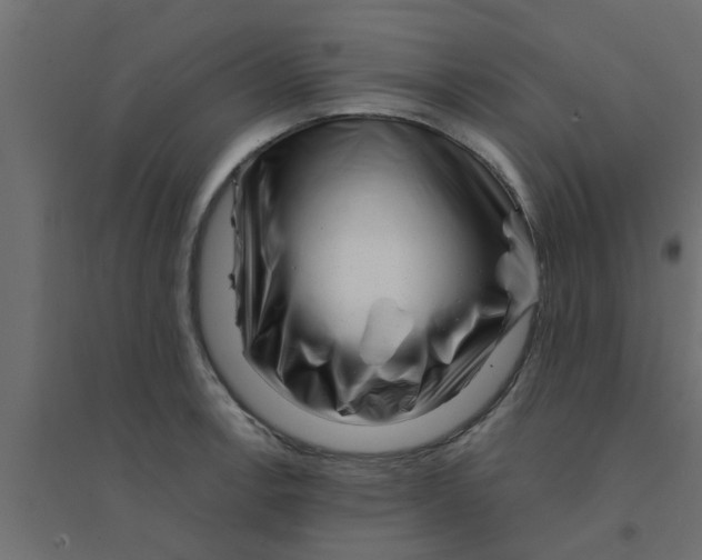 X0000094201138200711241631