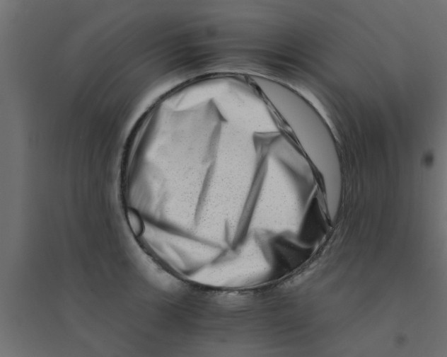 X0000094201139200711241631