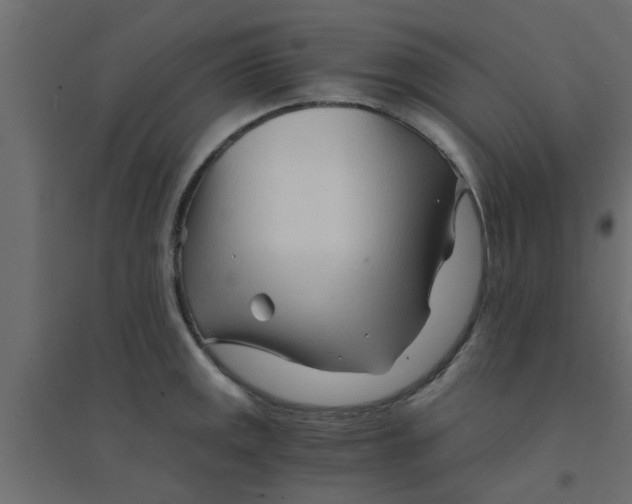 X0000094201141200711241631