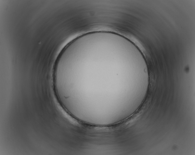 X0000094201142200711241631