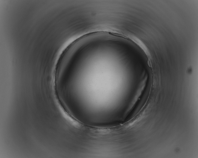 X0000094201144200711241631
