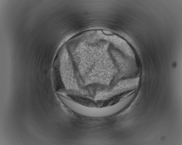 X0000094201145200711241631