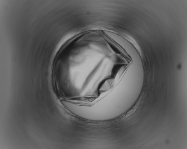 X0000094201146200711241631
