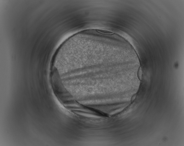 X0000094201147200711241632