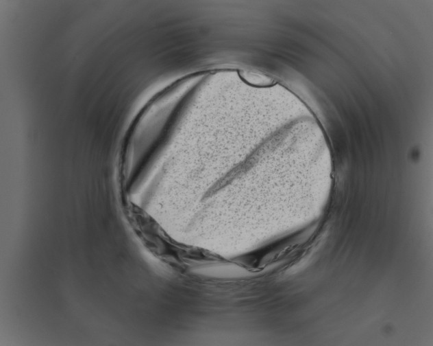 X0000094201149200711241632