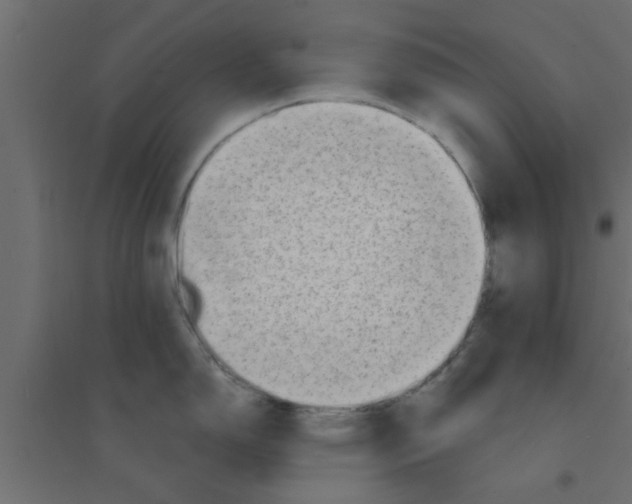 X0000094201150200711241632