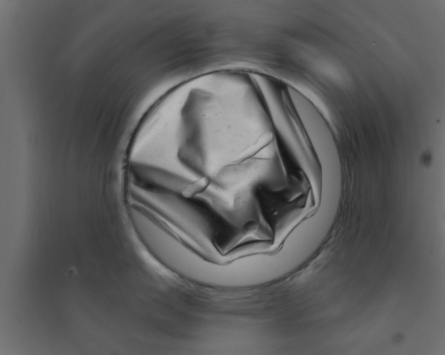 X0000094201151200711241632