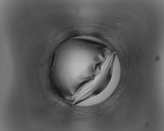 X0000094201153200711241631