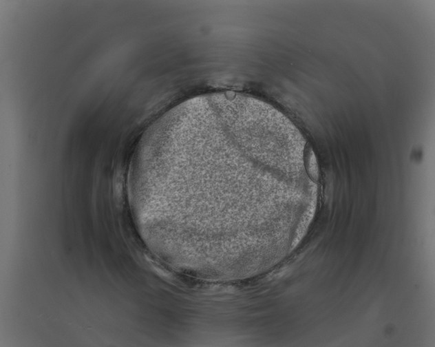 X0000094201154200711241631