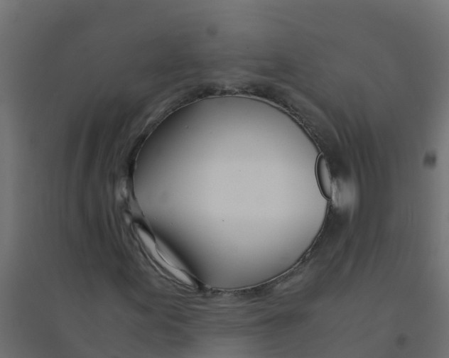 X0000094201155200711241631
