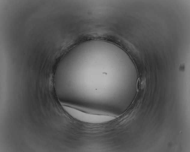 X0000094201156200711241631
