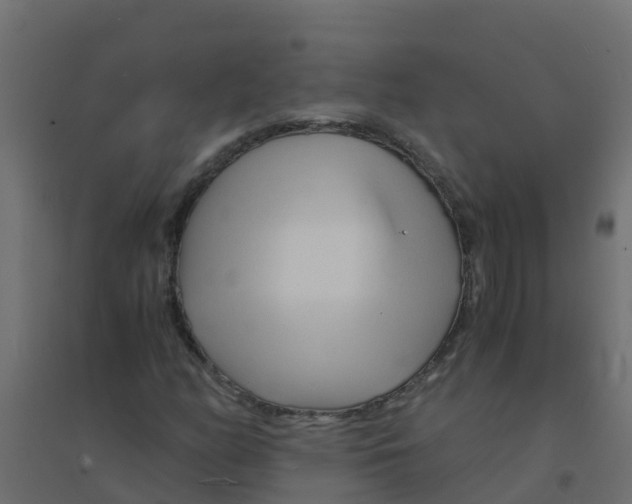 X0000094201158200711241631