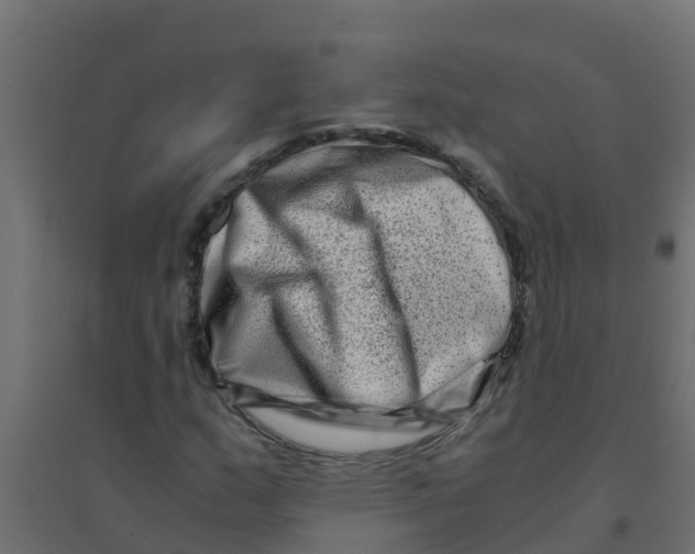 X0000094201159200711241631