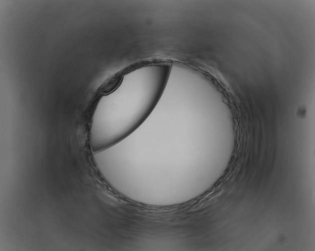 X0000094201160200711241631