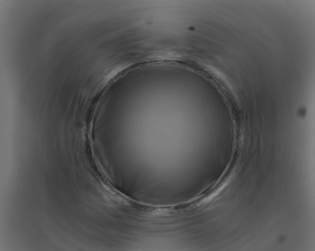 X0000094201161200711241631