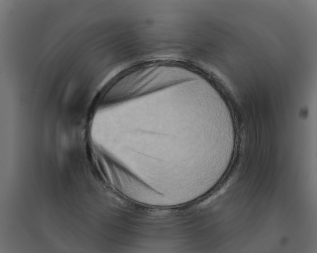 X0000094201162200711241631