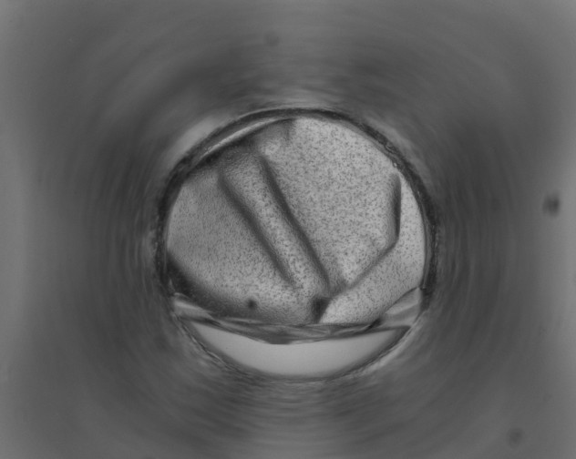 X0000094201163200711241631
