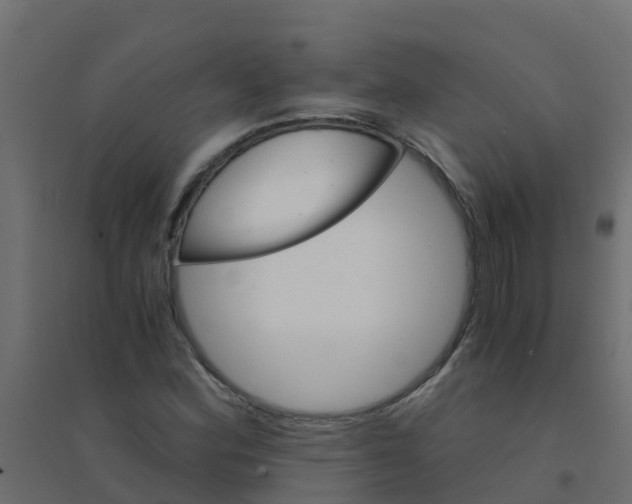 X0000094201164200711241631