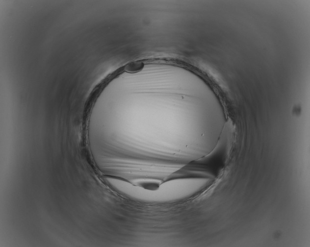 X0000094201165200711241631