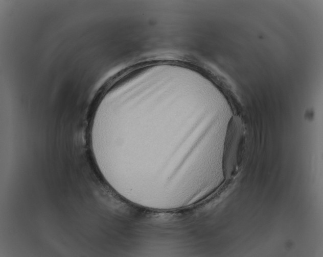 X0000094201166200711241631