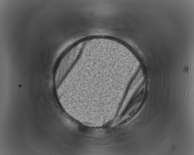 X0000094201167200711241631