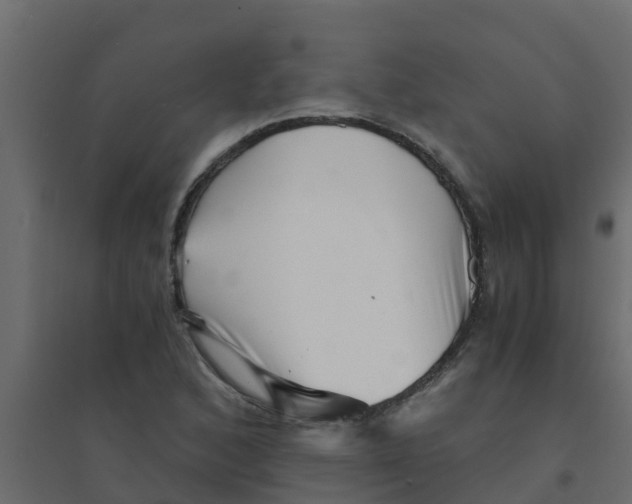 X0000094201168200711241631