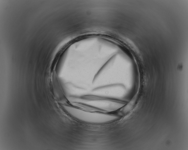 X0000094201172200711241630