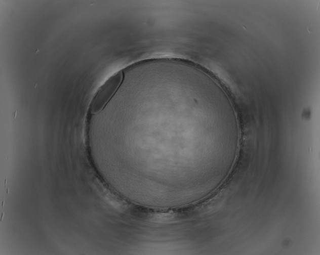 X0000094201173200711241630