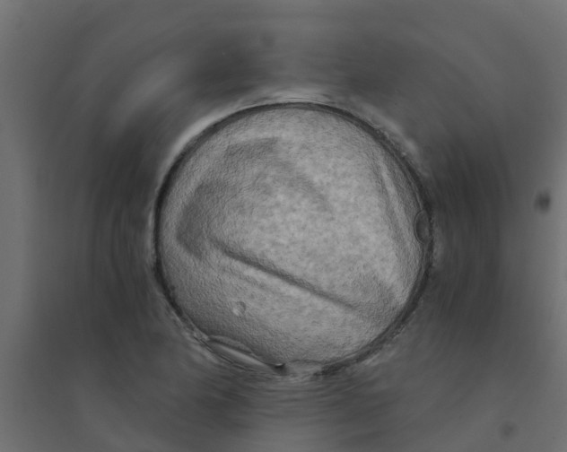 X0000094201174200711241630