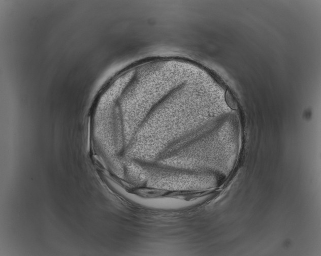 X0000094201175200711241630