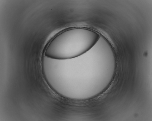 X0000094201176200711241630
