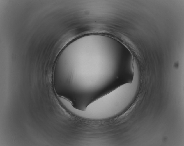 X0000094201177200711241630