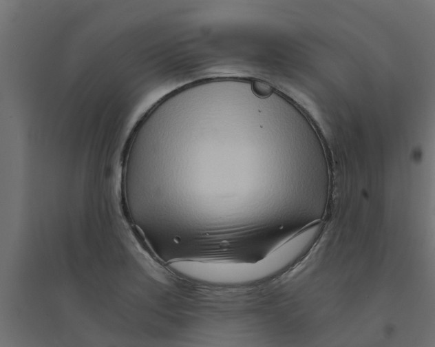 X0000094201179200711241630