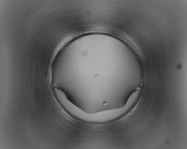 X0000094201180200711241630