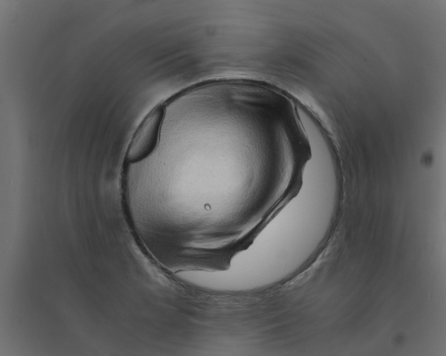 X0000094201181200711241630