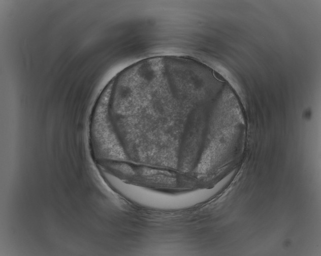 X0000094201187200711241630