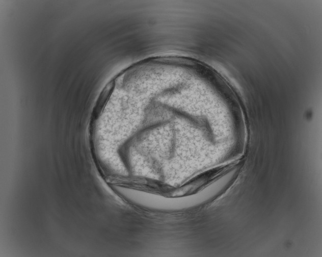 X0000094201189200711241630
