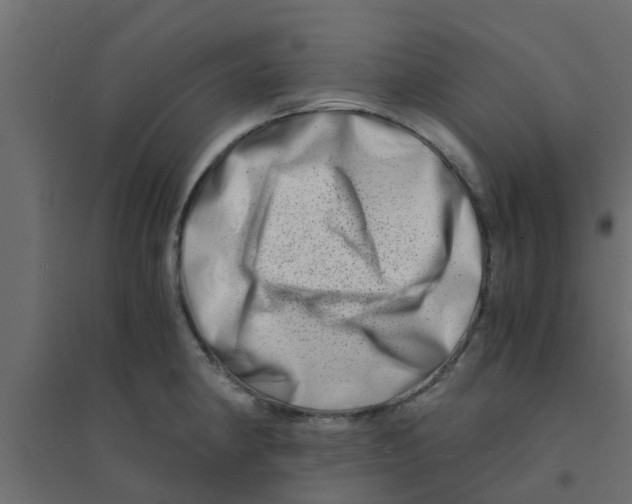 X0000094201190200711241630