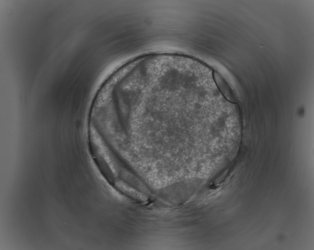 X0000094201191200711241630