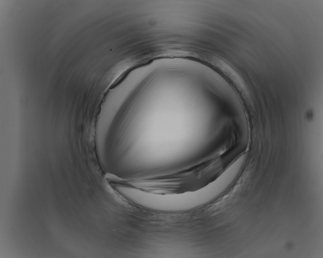 X0000094201193200711241630