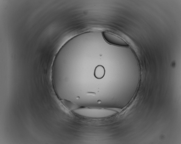 X0000094201194200711241630