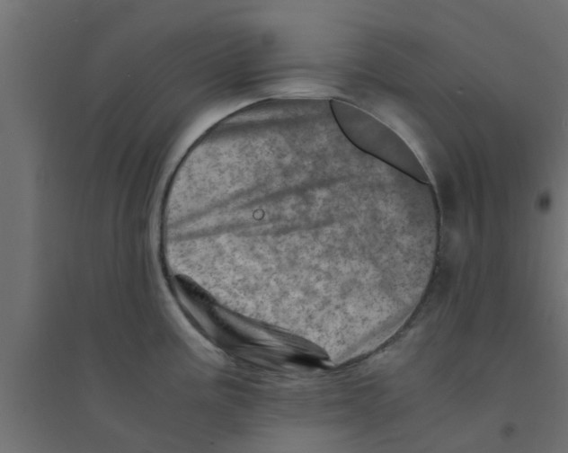 X0000094201195200711241630