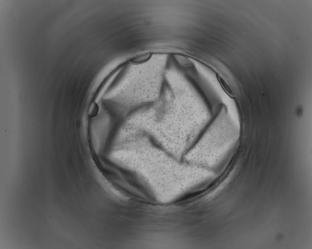 X0000094201196200711241630