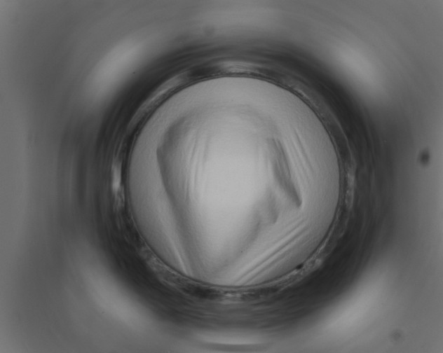 X0000094201198200711241630